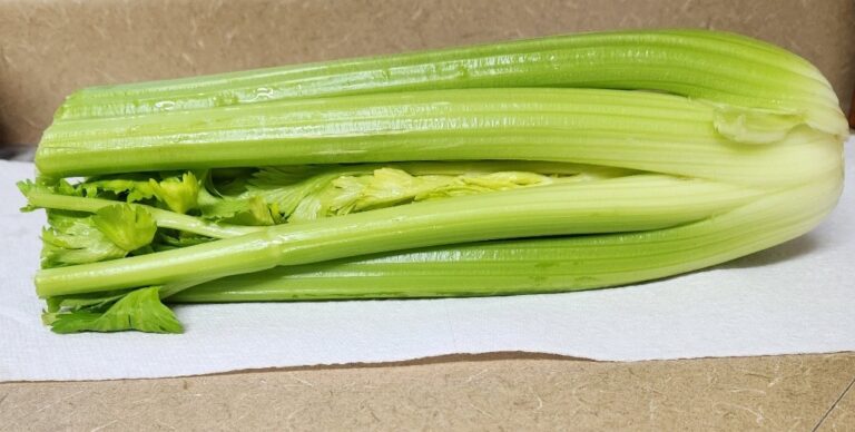 celery snack ideas